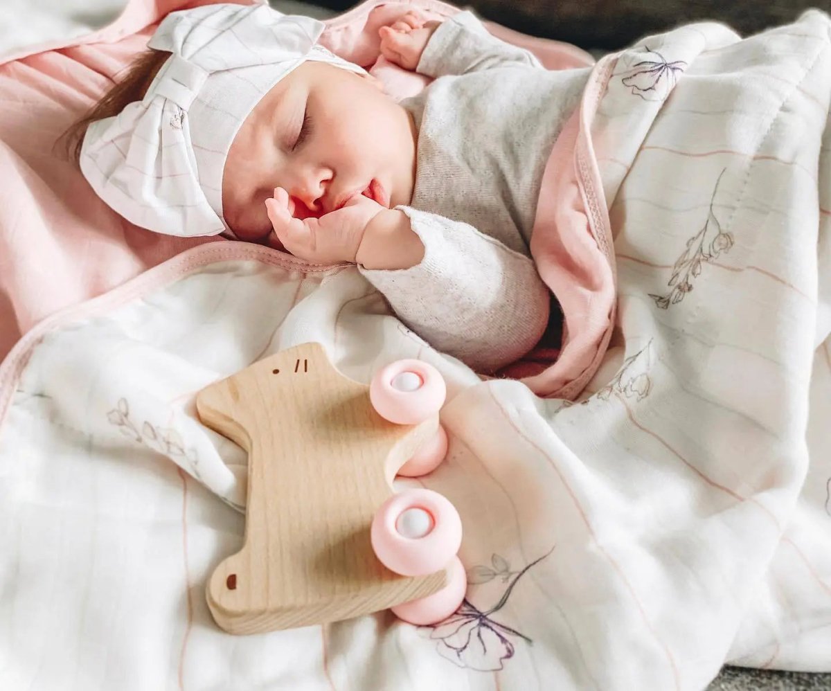 Goosewaddle® | Newborn Baby Blankets Toys Teethers Bibs & More Goosewaddle Pink Kitten Teether with Wheels