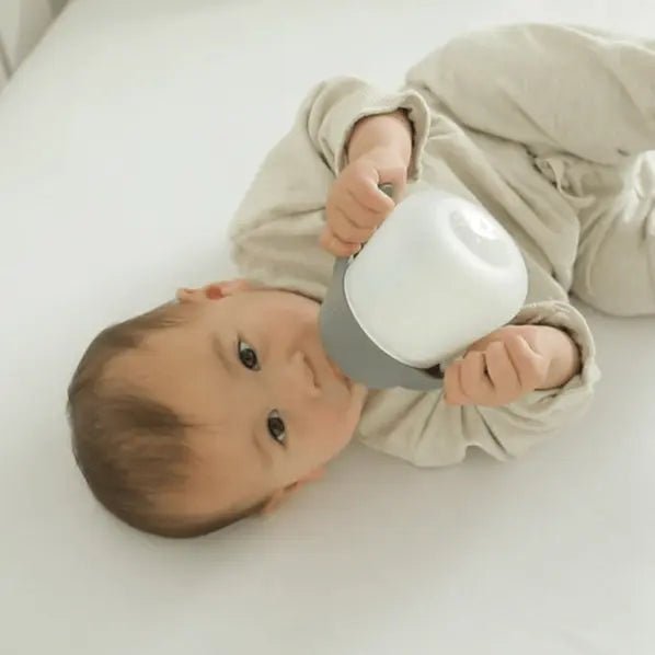 Nanobébé Flexy Bottle Quick-Click Handles - 2pk - Baby & Toddler > Nursing & Feeding > Baby Bottles Baby Bottles