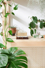 Butter Me Up Organics Handcrafted Sweet Citrus Soap Bar with Calendula and Organic Oils - 