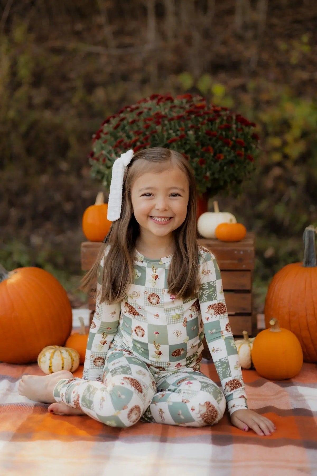 Little Joy Co. Harvest Hedgehogs 2pc Bamboo Pajamas - 