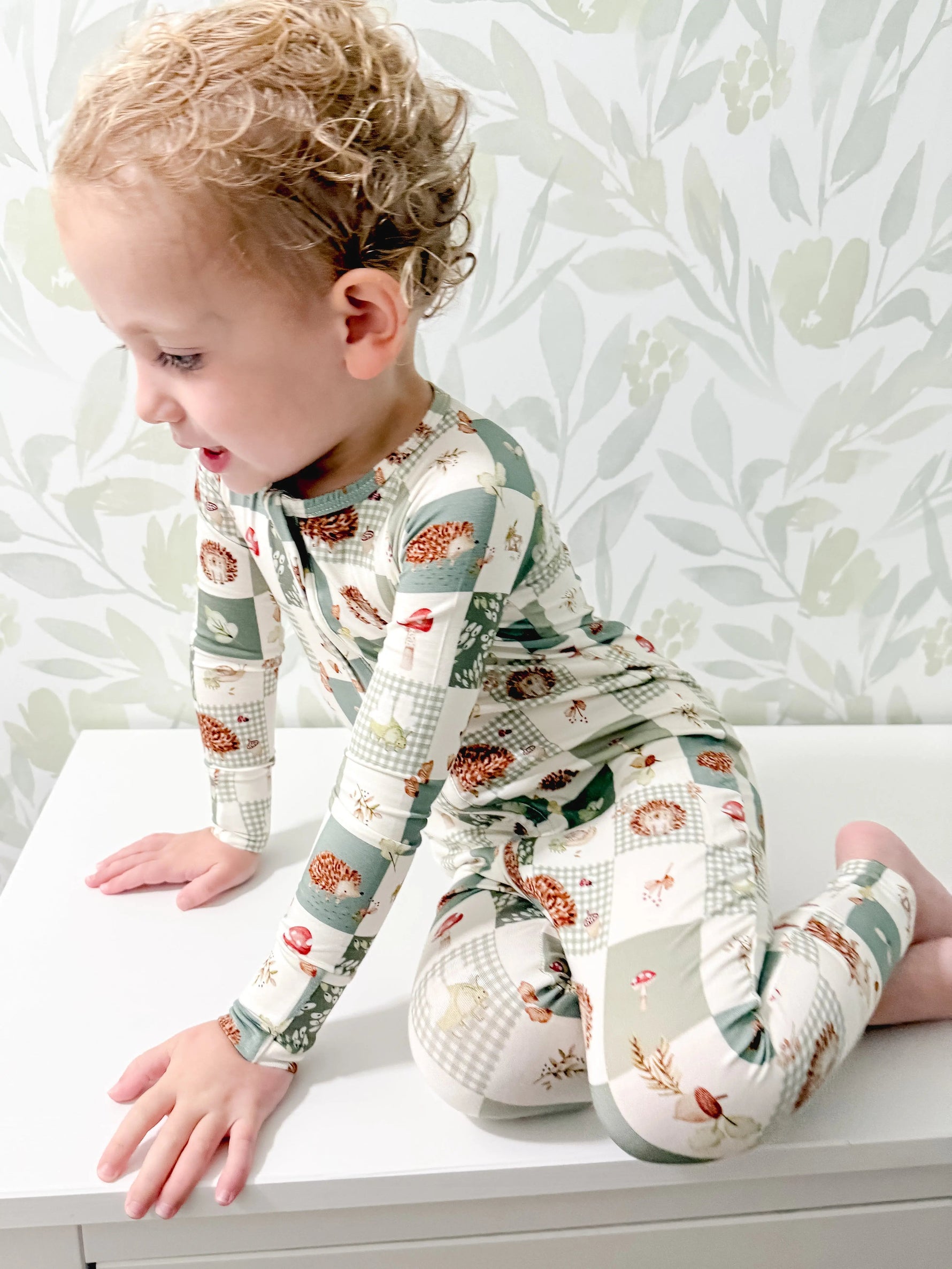 Little Joy Co. Harvest Hedgehogs Bamboo Zippy Pajamas - 