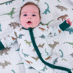 LollyBanks Have A T - rexcellent Day Zipper One Piece Pajama