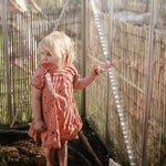 Mushie HexaPop Suction Toy for Engaging Playtime Fun and Easy Travel - 