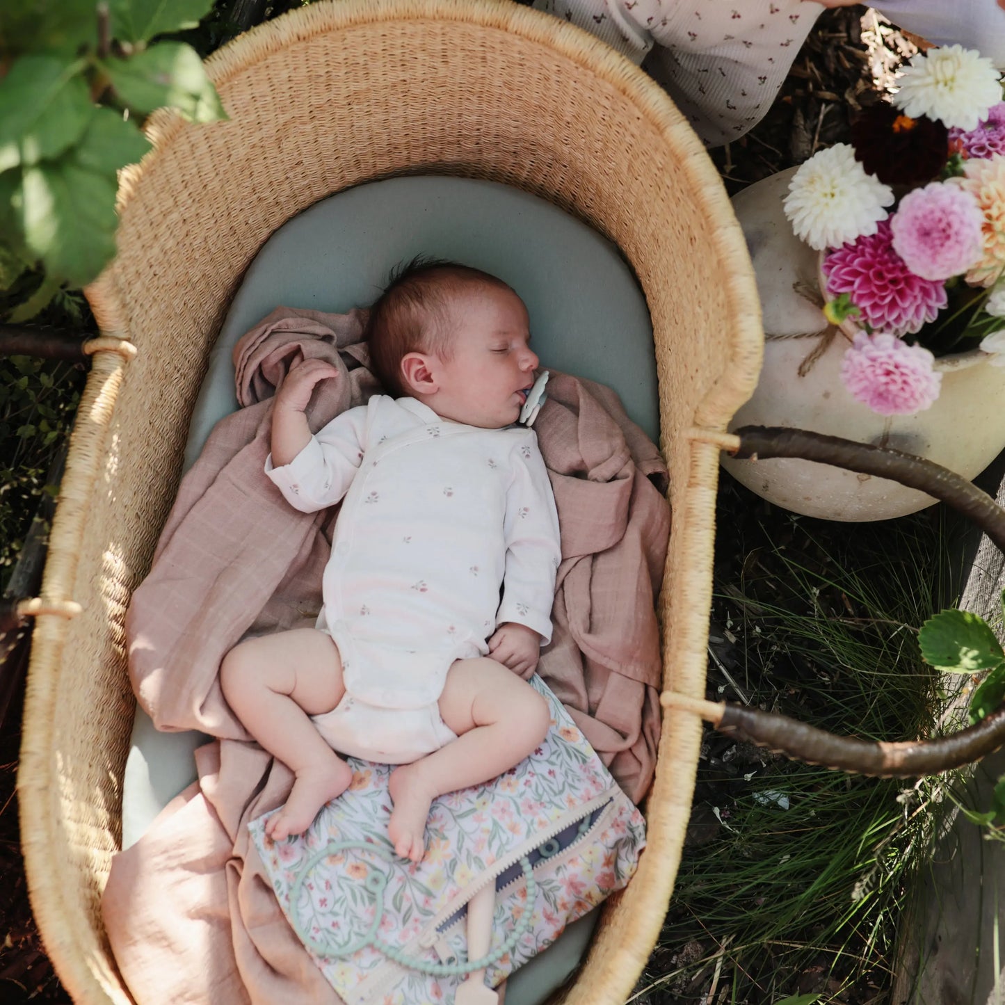 Stretchy Organic Cotton Bassinet Sheet for Babies with Fully Elastic Edges Mushie