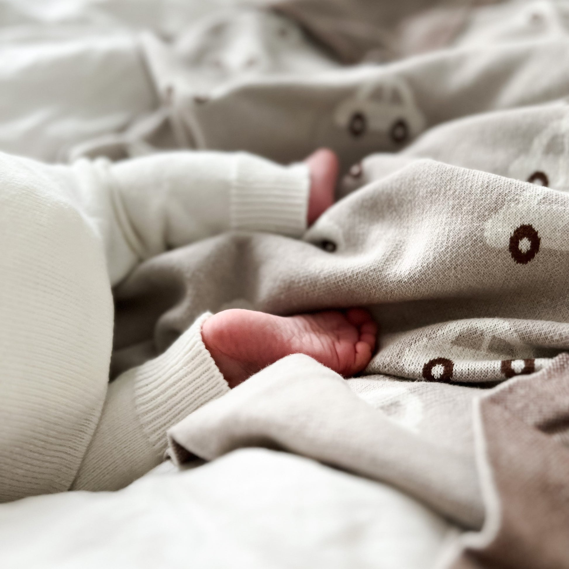 Whimsy Collection Luxury 100 Percent Cotton Knit Swaddle Baby Blanket Bleu La La