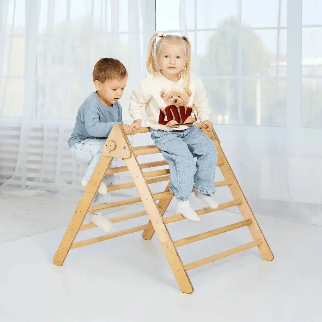 Goodevas Indoor Montessori Triangle Climbing Ladder for Toddlers Age 1 to 7 - Everetts Place Boutique - 