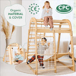Goodevas Indoor Playground for Children - 7in1 Playground + Swings Set + Slide Board + Art Set - 