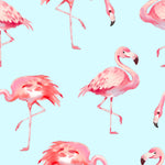 LollyBanks Let's Flamingle Sleep SackEveretts Place