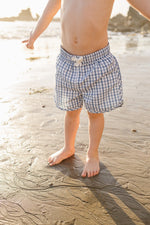 Mebie Baby Light Blue Gingham Swim Shorts - 