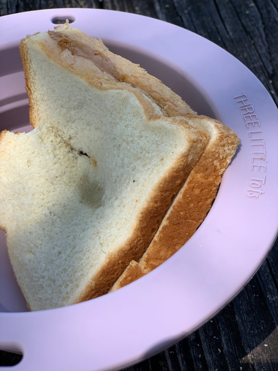 Three Little Tots Lilac Collapsible Bowl for Travel or Home - 