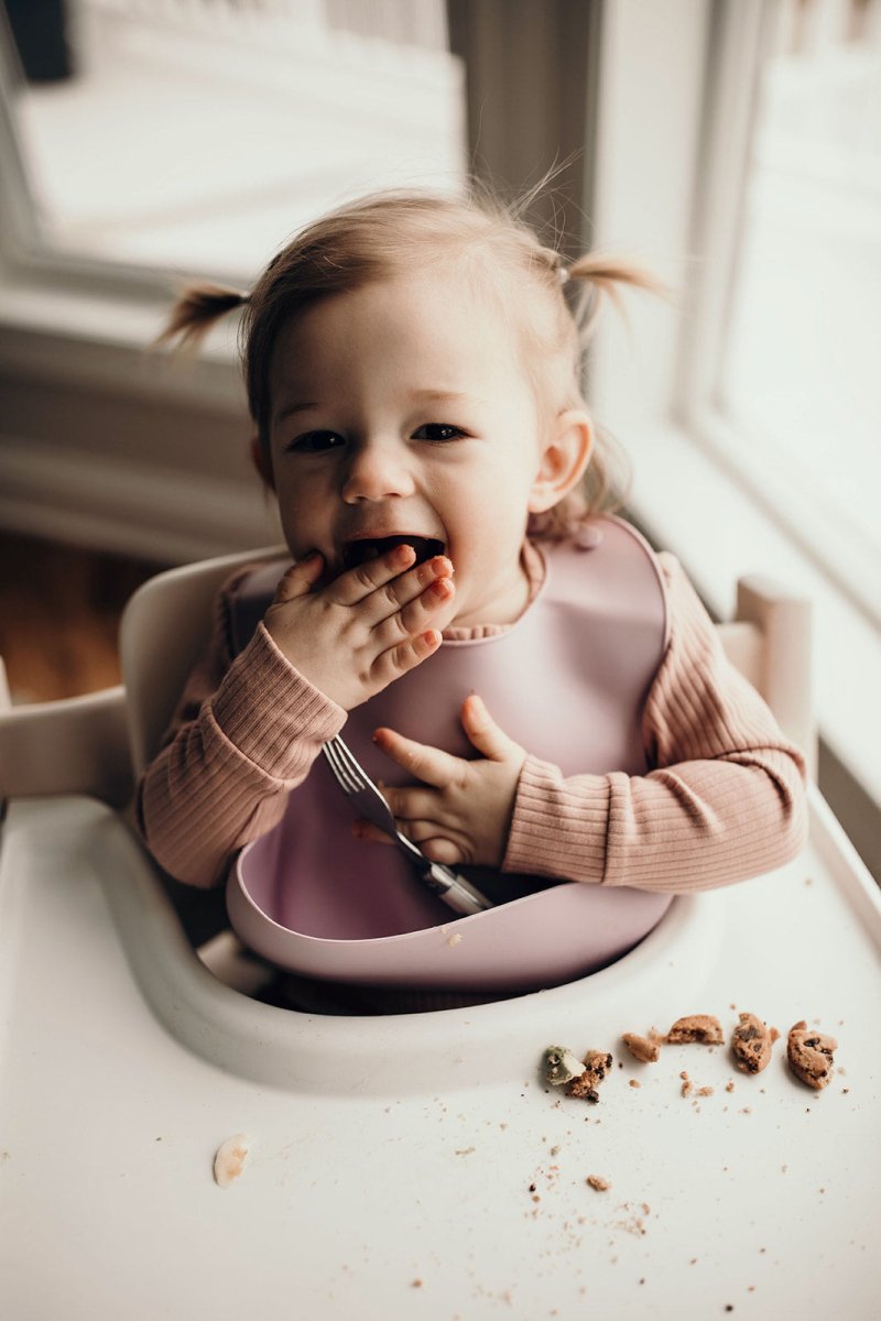 Three Little Tots Lilac Silicone Bib with Crumb Catcher - 