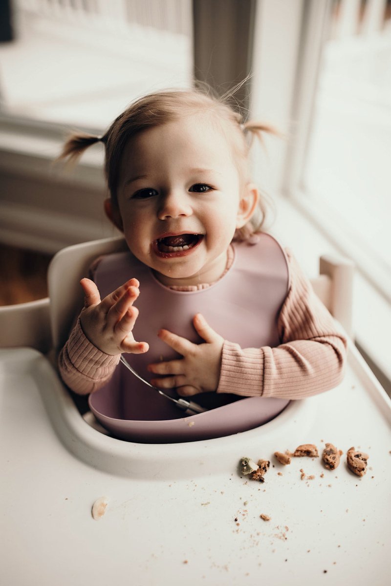 Three Little Tots Lilac Silicone Bib with Crumb Catcher - 