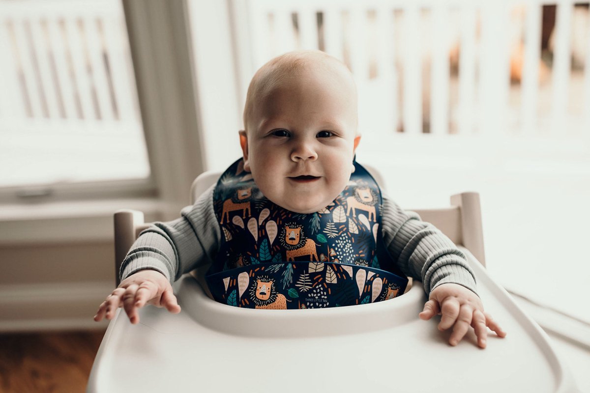 Three Little Tots Lion Silicone Bib with Crumb Catcher - 