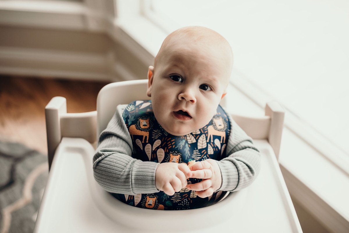 Three Little Tots Lion Silicone Bib with Crumb Catcher - 