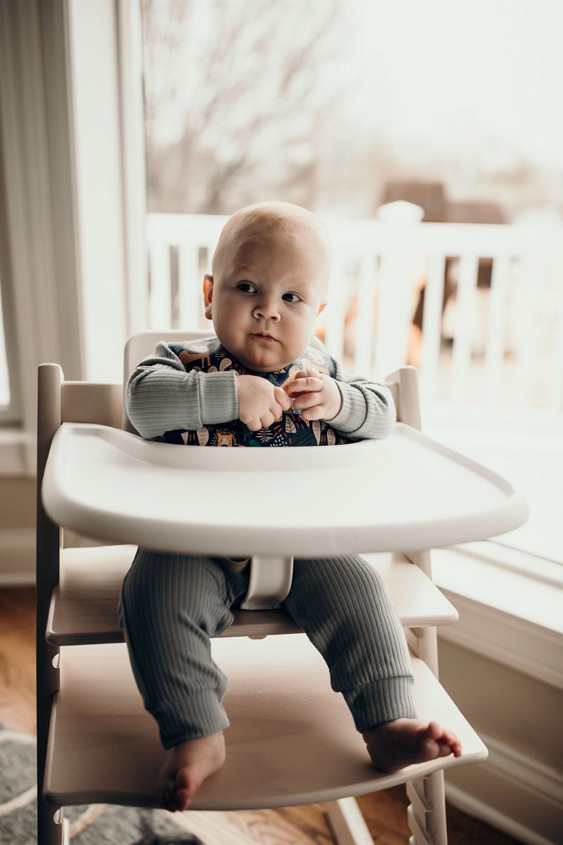 Three Little Tots Lion Silicone Bib with Crumb Catcher - 