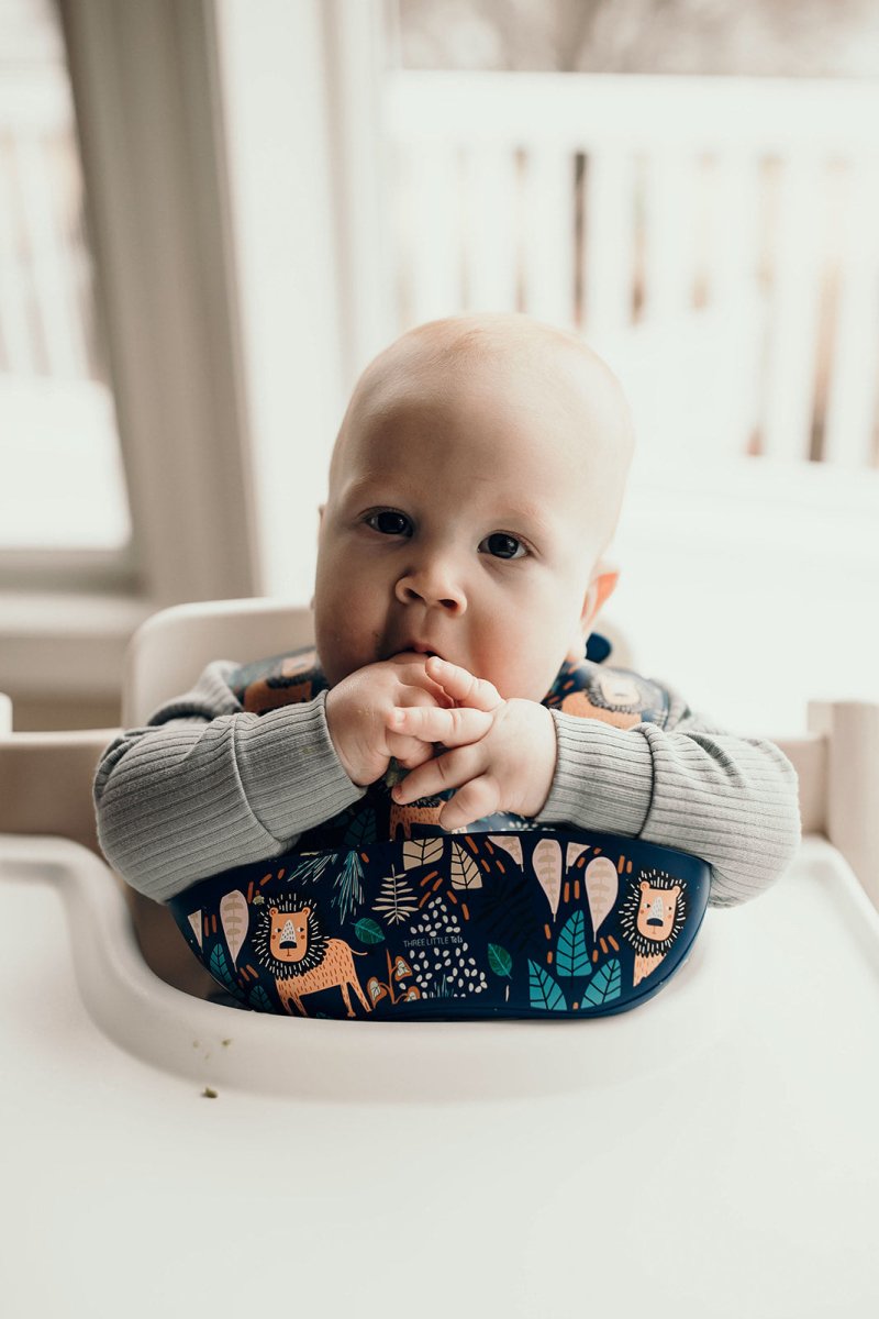 Three Little Tots Lion Silicone Bib with Crumb Catcher - 