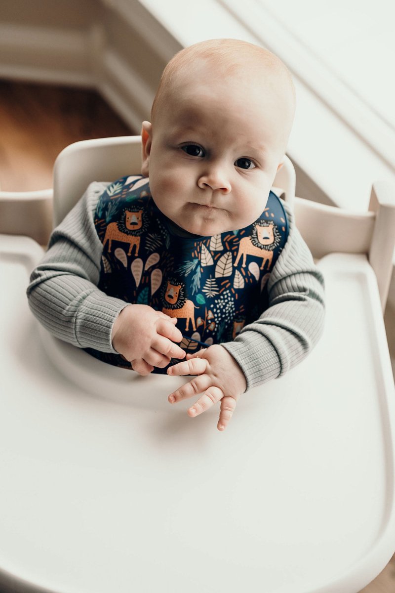Three Little Tots Lion Silicone Bib with Crumb Catcher - 