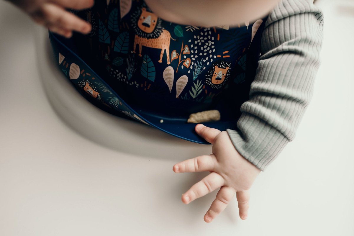 Three Little Tots Lion Silicone Bib with Crumb Catcher - 