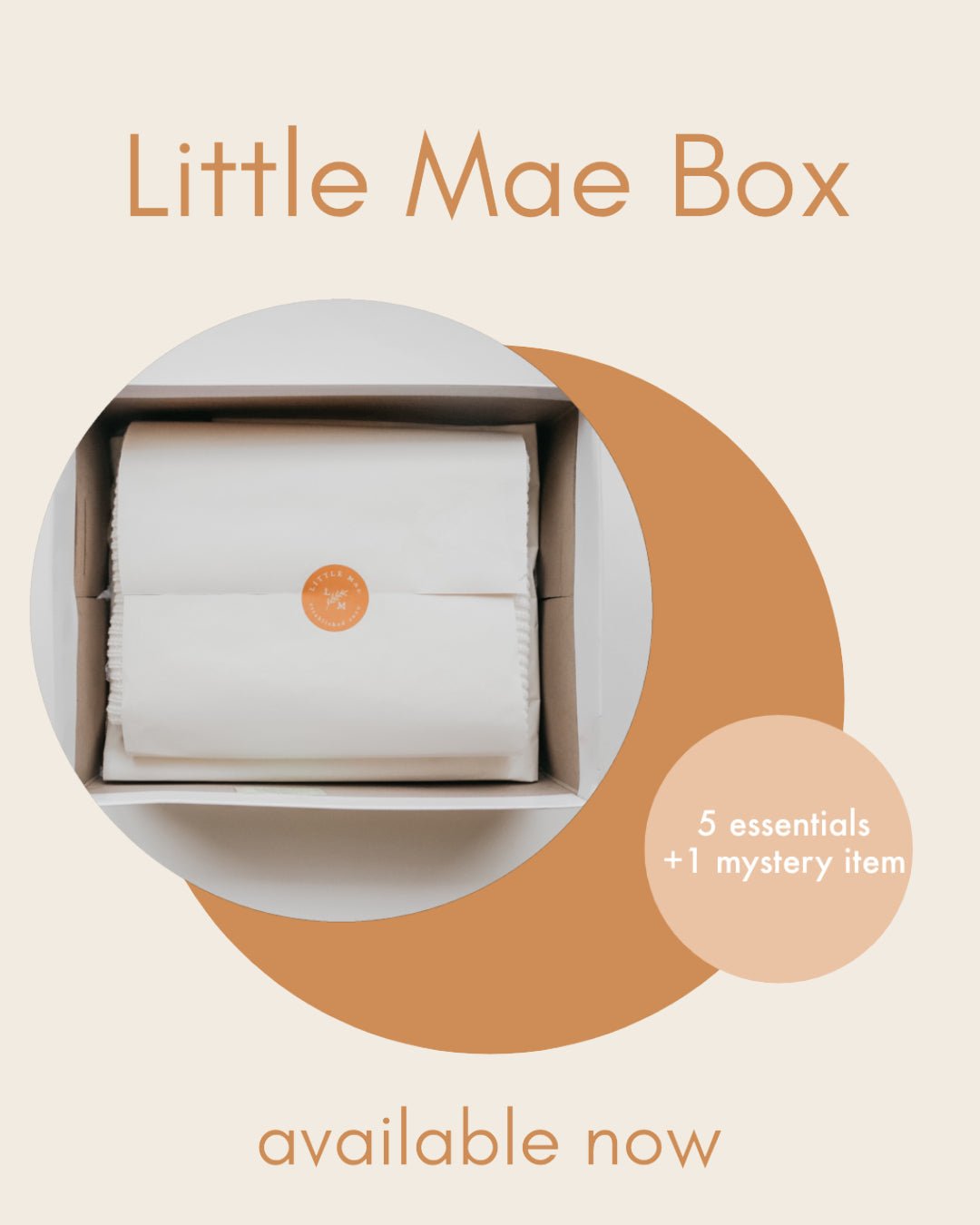 Little Mae & Co LITTLE MAE BOXEveretts Place