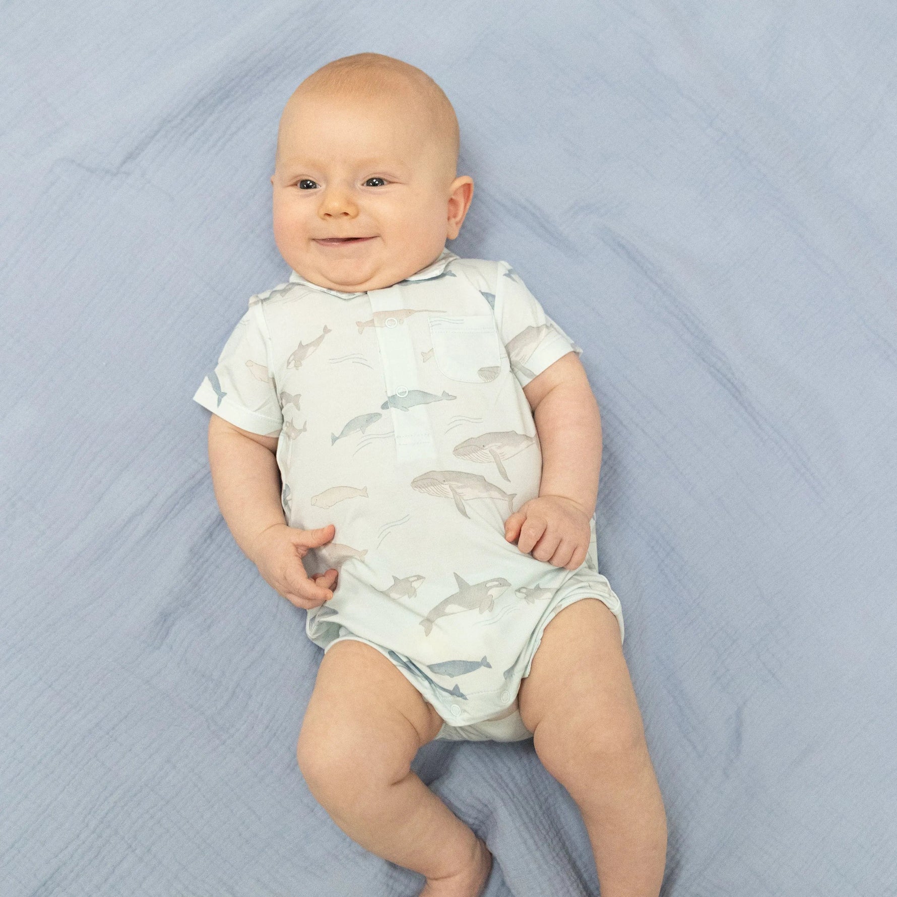 Angel Dear Little Whales - Polo Shortie - 