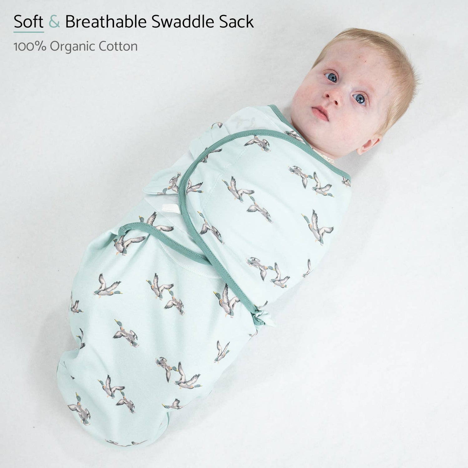 LollyBanks LollyBanks Organic Cotton Velcro Newborn Swaddle Sack Quackin Up Mallard DuckEveretts Place