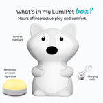 Lumieworld LumiPets® Felix the Fox - Children's Touch Night Light Junior - 