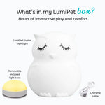 Lumieworld LumiPets® Owen the Owl - Children's Touch Night Light Junior - 