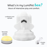 Lumieworld LumiPets Rowdy the Rocket Night Light for Kids Touch Sensor Junior - 
