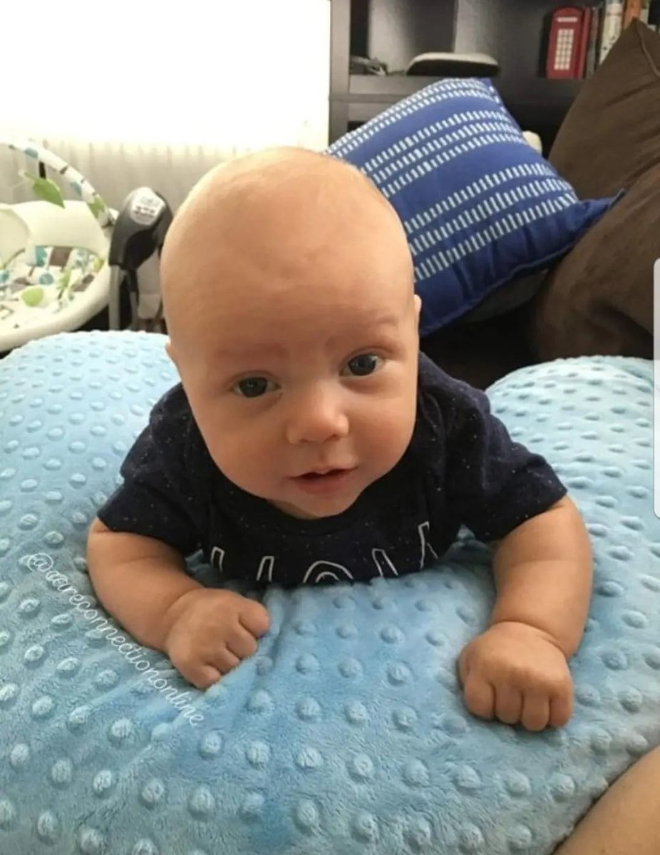 Luna Lullaby Luna Lullaby Nursing Pillow Cover Blue Dot Minky Plush - Everetts Place Boutique - 