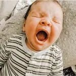 Luna Lullaby Luna Lullaby Nursing Pillow Pink Flamingo Award Winning - Everetts Place Boutique - 