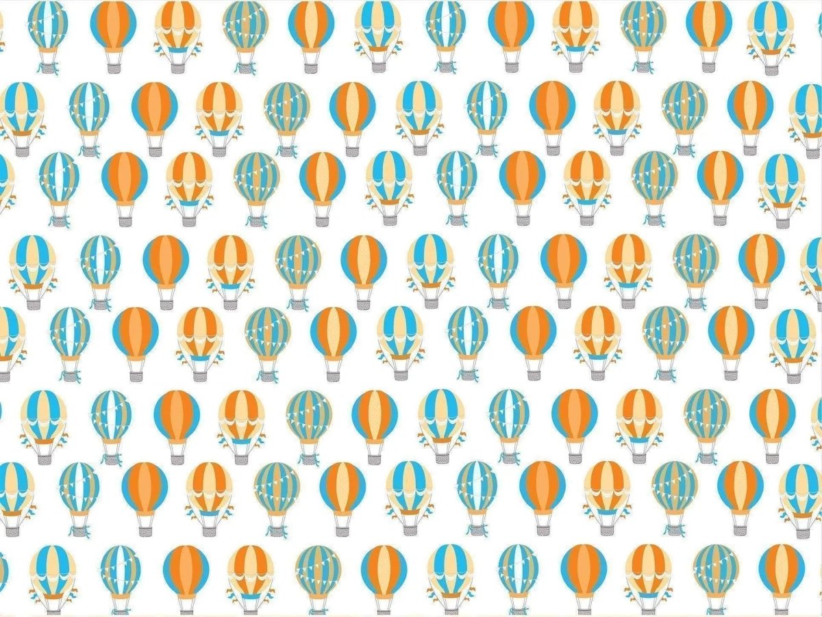 Goosewaddle® | Newborn Baby Blankets Toys Teethers Bibs & More Luxurious Receiving Blankets Set with Bear & Hot Air Balloons