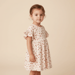 Organic Dolman Sleeve Dress - Cherry - Sleeve, Shoulder, Baby & Toddler Clothing, Dress, Day Dress | Everetts Place