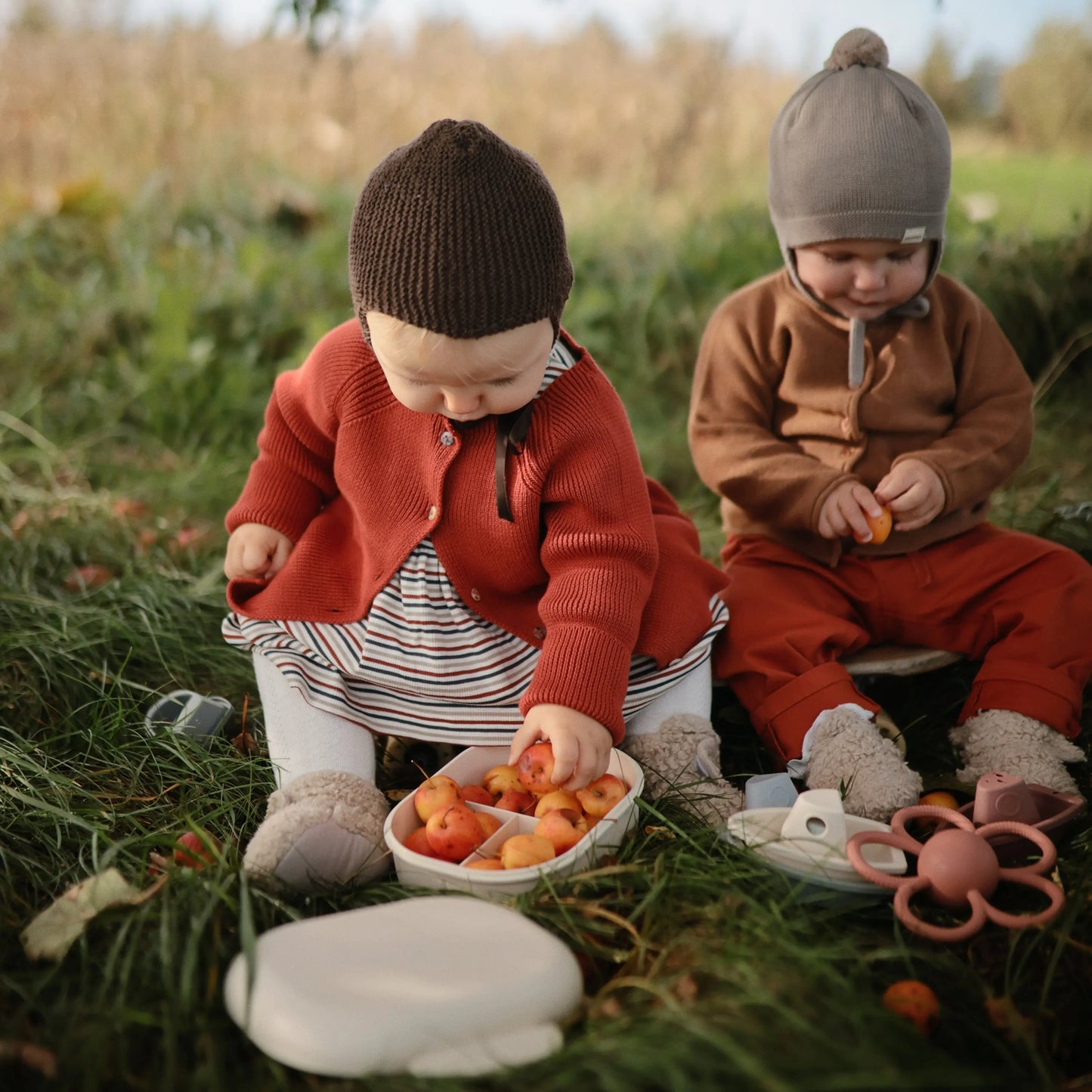 BPA Free Plastic Lunchbox with Built In Compartments and Locking Utensils Mushie