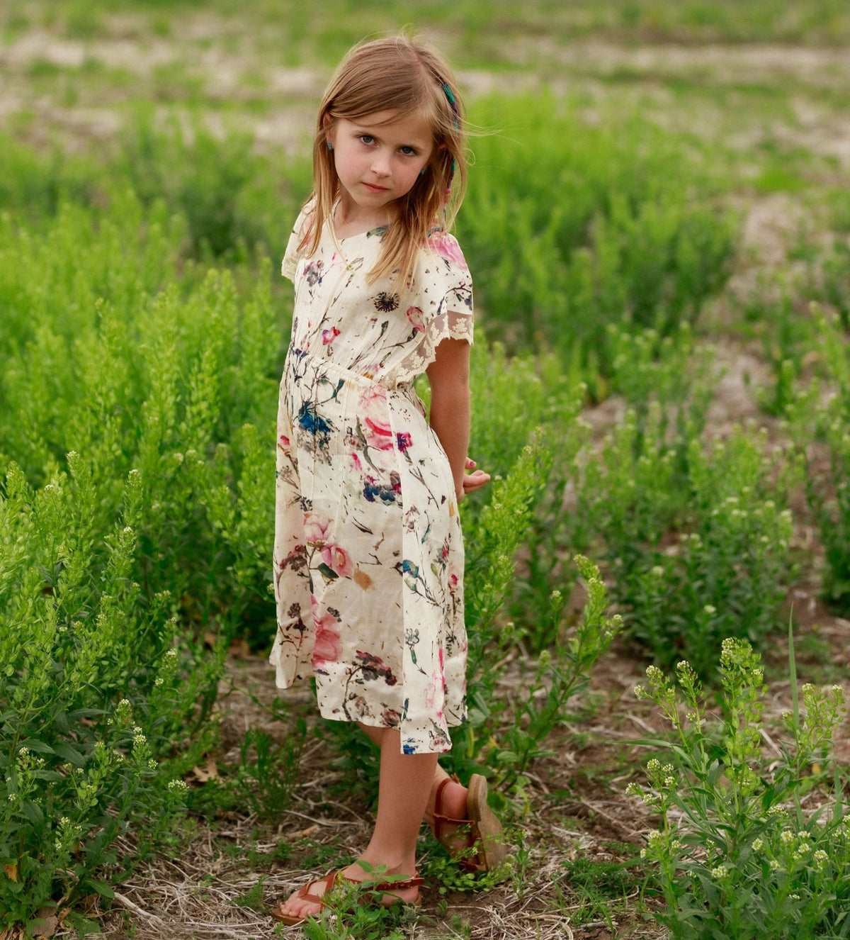 Maya Dress, Elastic Waist, Lace Trim by Bestaroo