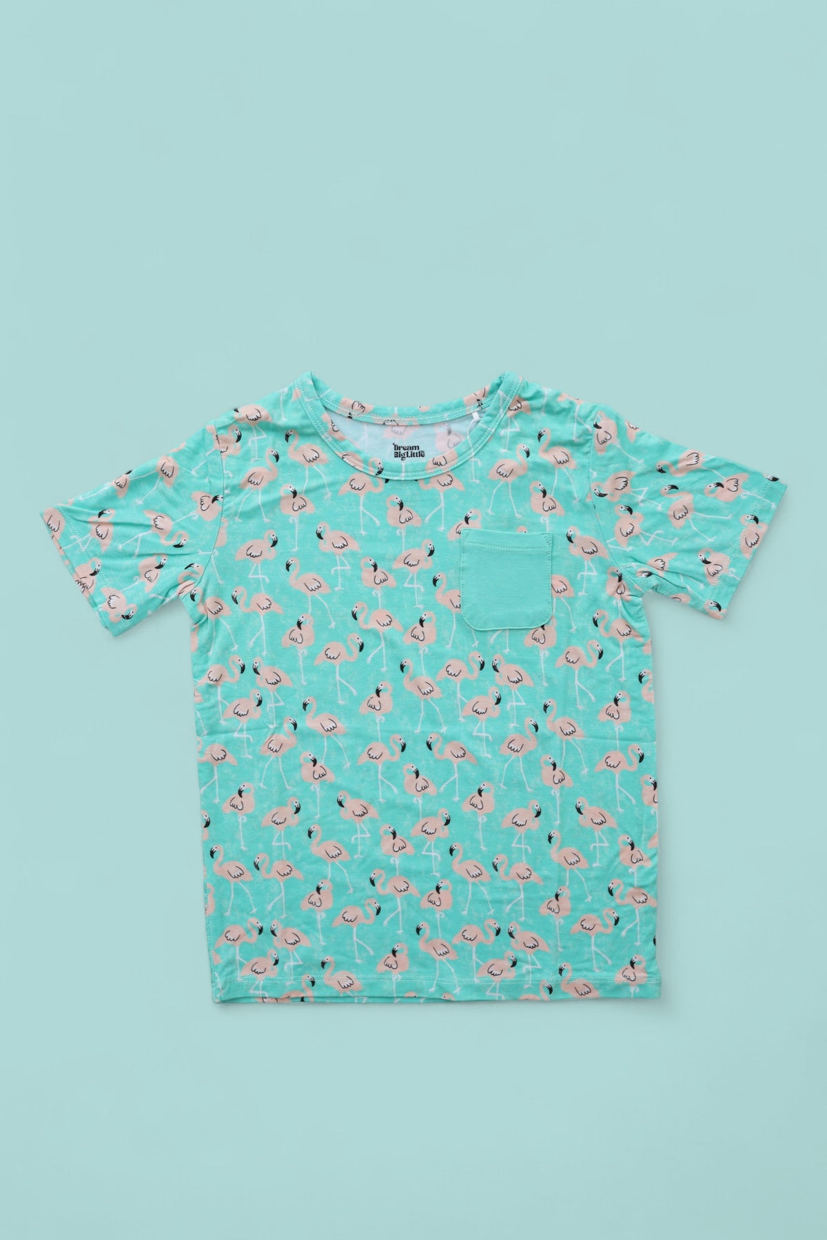 DREAM BIG LITTLE CO MINGLING MINGOS DREAM POCKET TEEEveretts Place