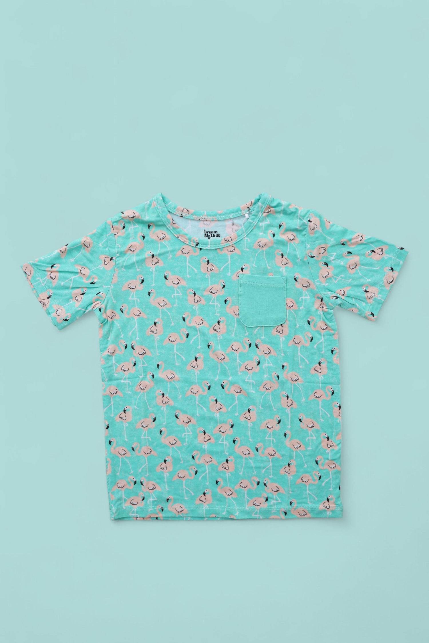 DREAM BIG LITTLE CO MINGLING MINGOS DREAM POCKET TEEEveretts Place