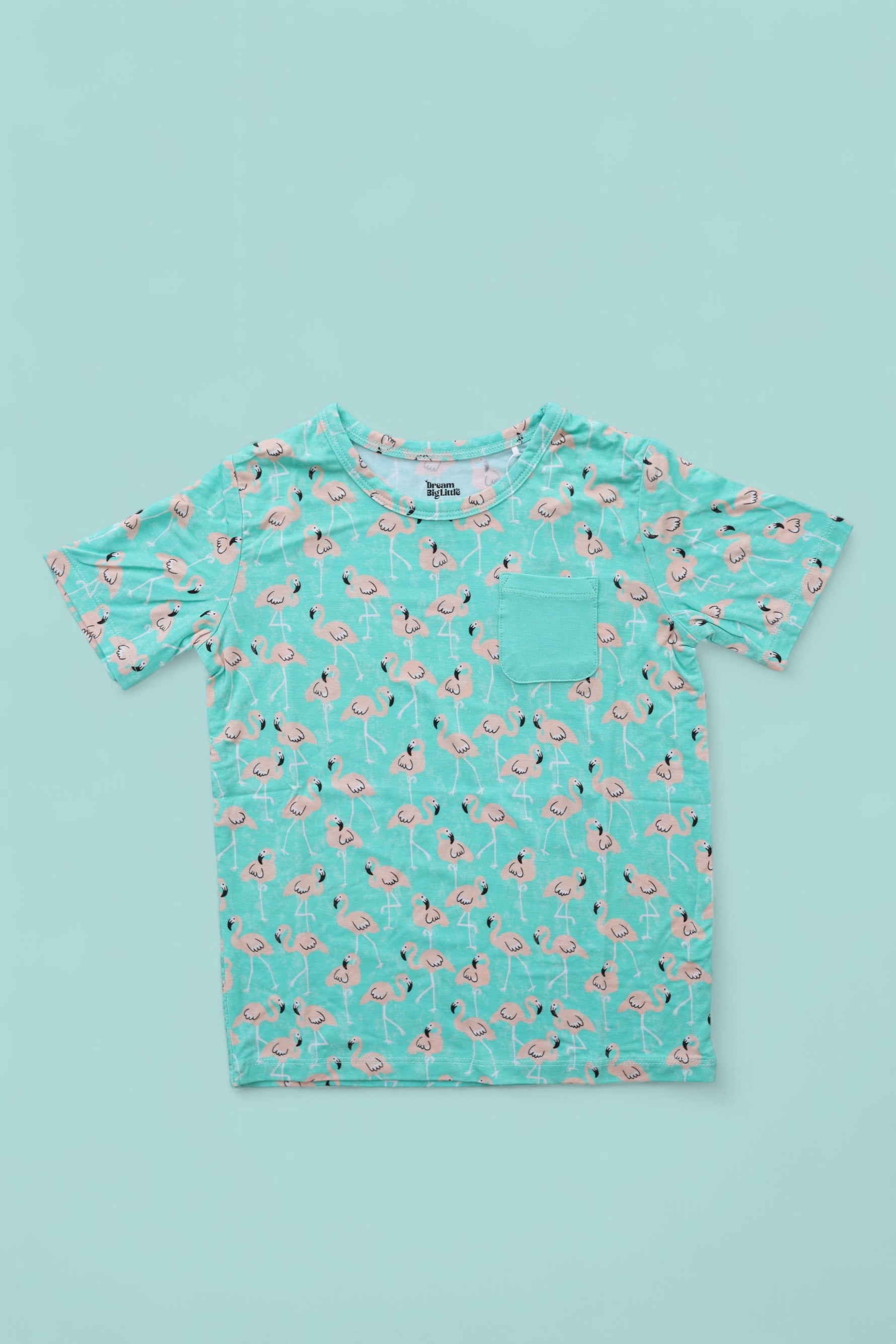 DREAM BIG LITTLE CO MINGLING MINGOS DREAM POCKET TEEEveretts Place