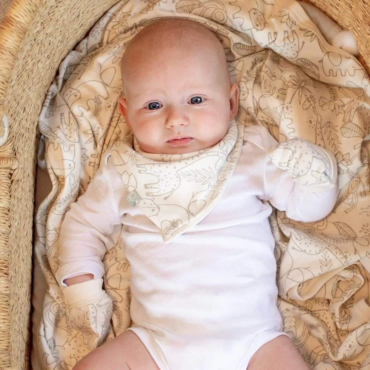 Finn + Emma mittens | celestial - 