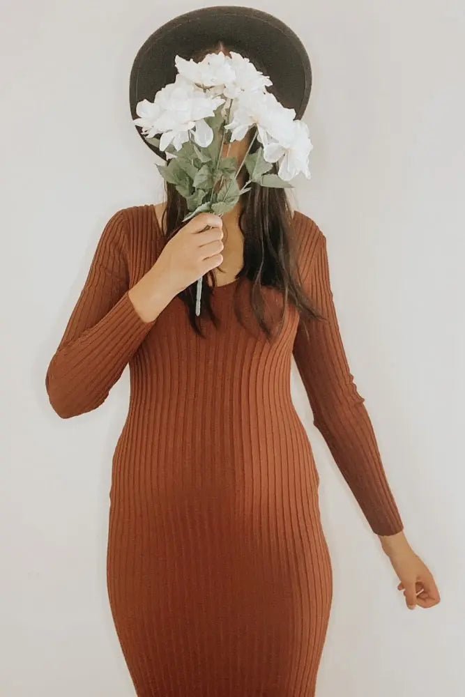 PinkBlush Mocha V - Neck Long Sleeve Fitted Maternity Maxi Dress - 