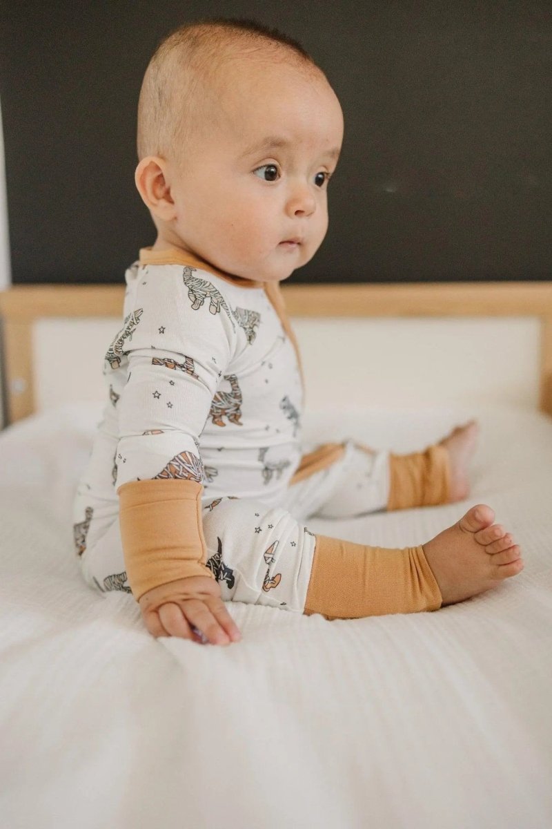 Little Joy Co. Mummy Saurus Rex Bamboo Zippy Romper Newborn To Three Months - Everetts Place Boutique - 