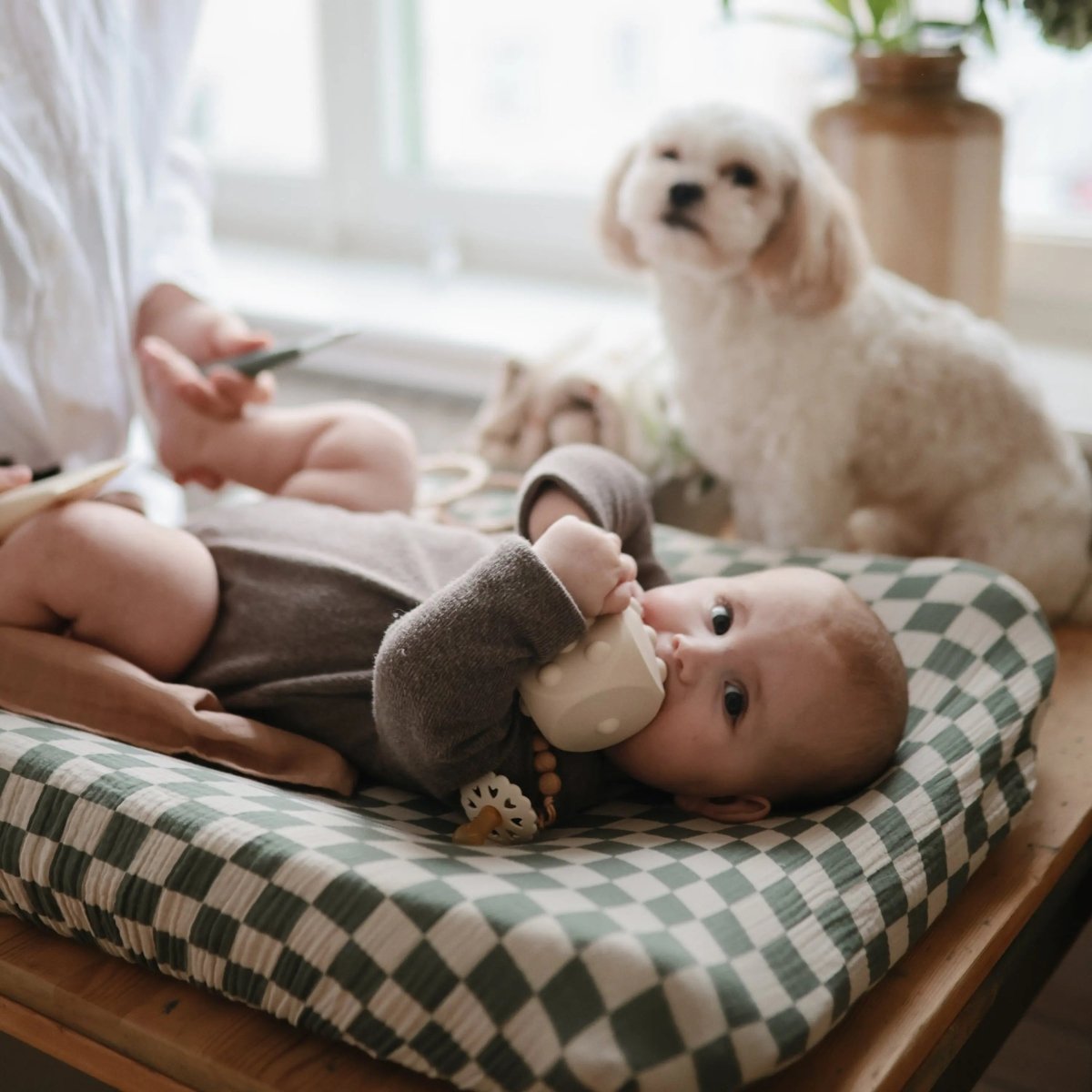 Mushie Mushie Dice Press Toy for Fine Motor Skill Development and Learning - Everetts Place Boutique - 