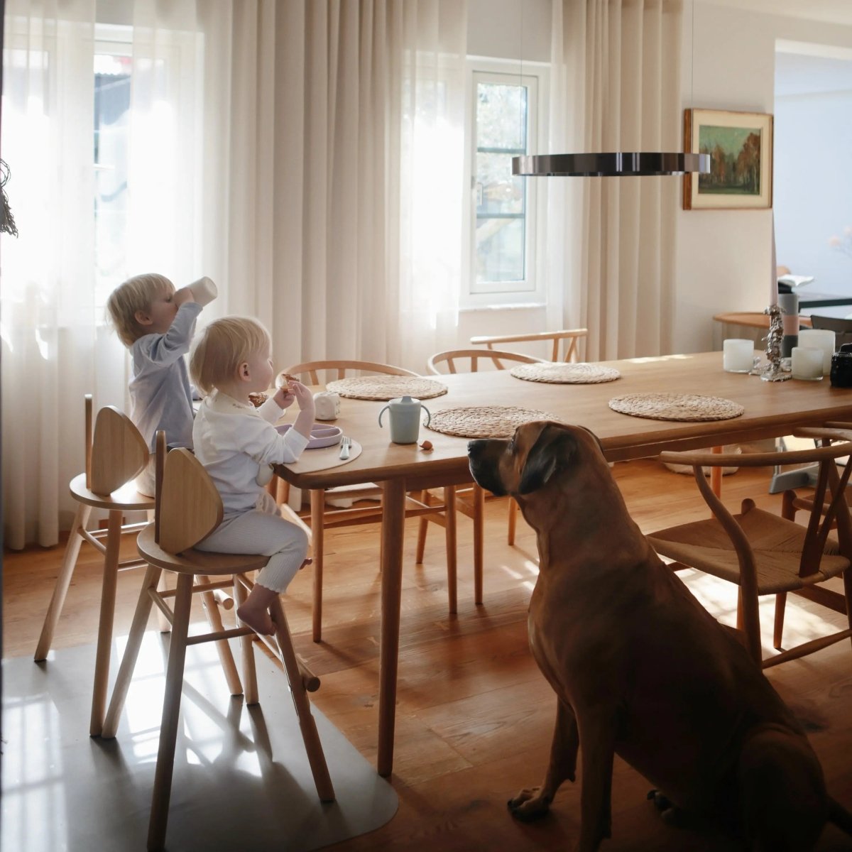 Mushie Mushie Trainer Sippy Cup Dishwasher and Microwave Safe with Easy Grip Handles - Everetts Place Boutique - 