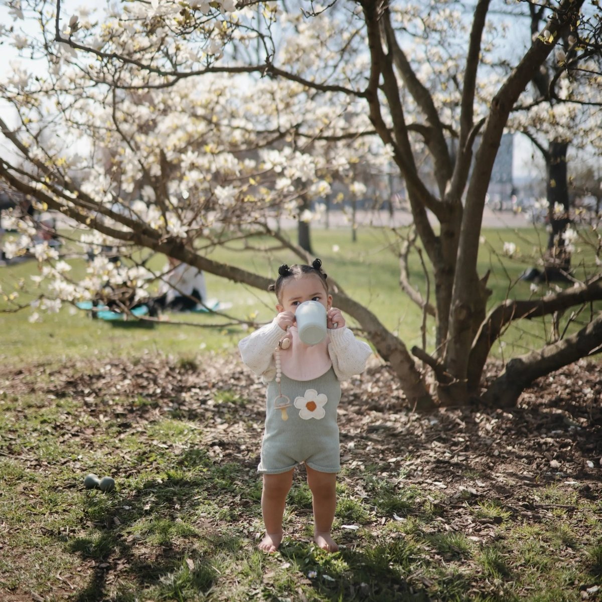 Mushie Mushie Trainer Sippy Cup Dishwasher and Microwave Safe with Easy Grip Handles - Everetts Place Boutique - 