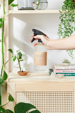 Butter Me Up Organics Natural Organic All Purpose Cleaner with Lemongrass for Families - 