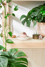 Butter Me Up Organics Organic Bath Bomb with Crystal Surprise for Luxurious Home Spa - 