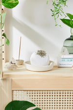 Butter Me Up Organics Organic Bath Bomb with Lavender and Chamomile for Relaxation Enthusiasts - 