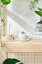 Butter Me Up Organics Organic Bath Bomb with Lavender and Chamomile for Relaxation Enthusiasts - 