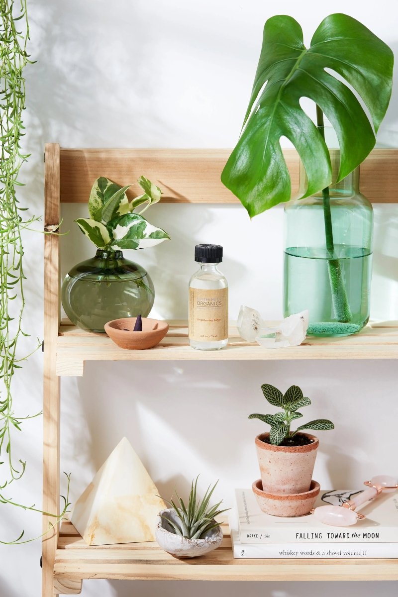 Organic Brightening Toner with Natural Exfoliation for Radiant Skin - Everetts Place