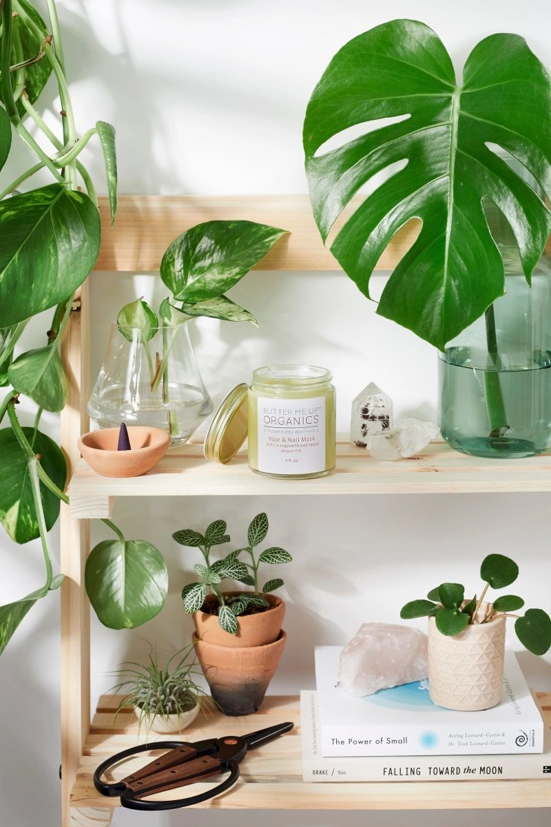 Organic Hair and Nail Mask with Shea Butter and Hemp Seed Oil for Healthy Growth - Everetts Place