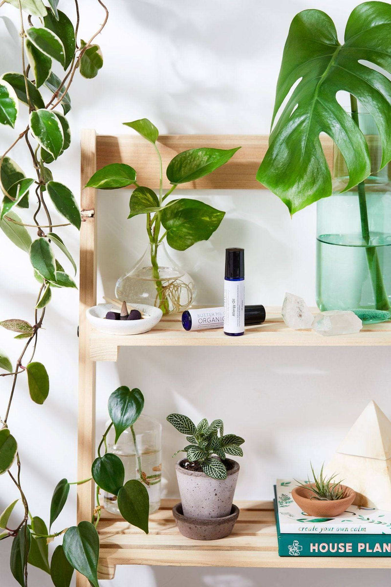 Organic Histamine Blocker Oil on wooden shelf with plants.